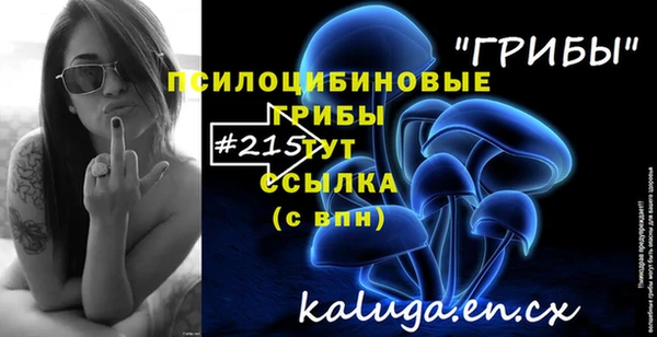 синтетический гашиш Богородицк
